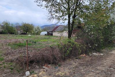 Teren de 4600 mp, în Recea - 1