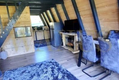 Teren 34,5 ari + cabana A-frame Colibita - ideal pentru resort, spa sau pensiune - 8