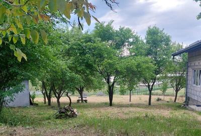 Casă cu 2 camere în Câmpenești - 6