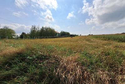 Oferta de vanzare teren intravilan, Tureni, 5800 mp. - 2