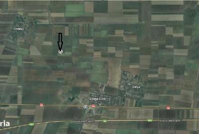 Teren de 5000 mp, în Dor Mărunt - 3