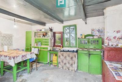 Casa, anexa si gradina Dorgos - 3