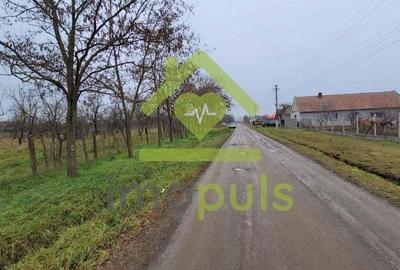 ? Teren intravilan de 1.159 mp in Dragsina. (27,61 Euro/mp)? - 6