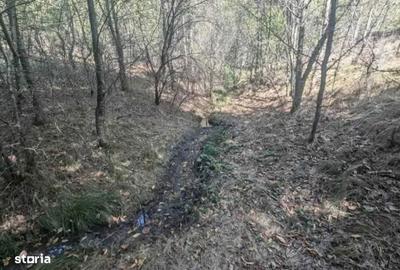 Teren de 1000 mp, în Central - 5