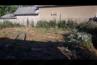 Casă cu 2 camere cu Teren 1439 Mp în Cermei - 10
