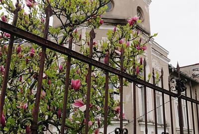 Casă cu 5 camere cu Teren 814 Mp în Central - 2