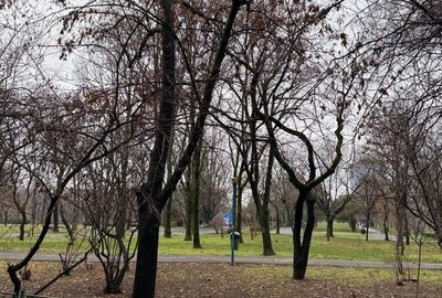 Parcul Circului - Lacul Tei - 15 min Metrou Stefan cel Mare - 12