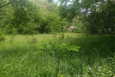 Teren de 5400 mp, în Brătila - 3