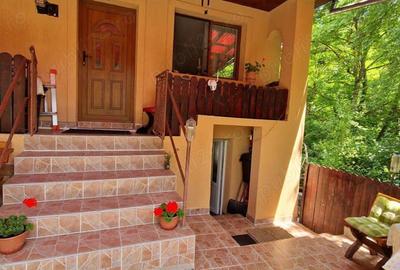 Casa de ?ara de vanzare - 2