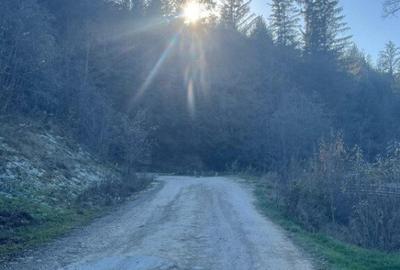 Teren intravilan, 20000 mp, zona Manastirea Humorului - 5