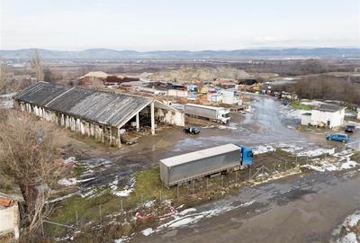 RECO . Proprietate industriala Tileagd . - 14