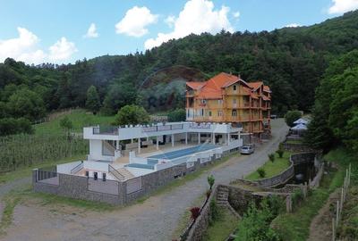DE VANZARE Pensiune cu piscina, pastravarie, zona spa locatie de vis - 12