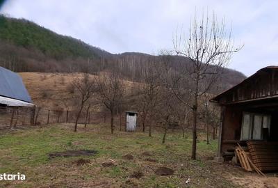 Casă cu 3 camere cu Teren 465 Mp în Boița - 8