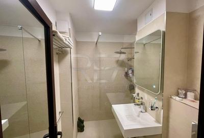 Apartament 2 camere Nicolae Grigorescu - Strada Patriotilor, mobilat - 9