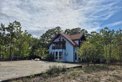 Casa P+1 din lemn - Mihailesti - 3