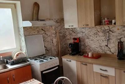 Apartament la casa in Sannicolau Mare - 7
