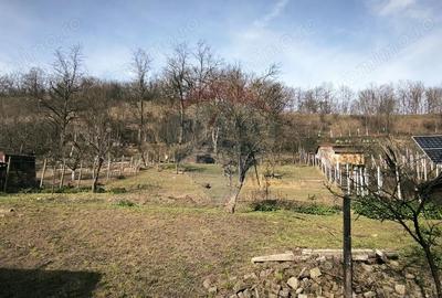 Casă cu 2 camere cu Teren 775 Mp în Păucea - 10