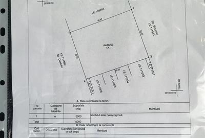 Teren de 5000 mp, în Lazu - 2