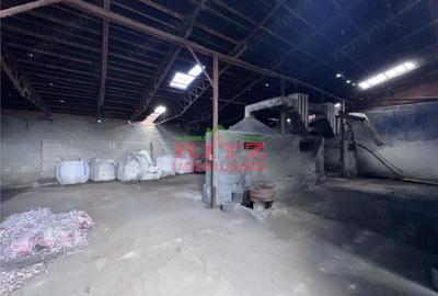 Spațiu comercial, de 354 mp, în Crișan - 13