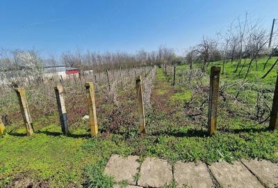 Casă cu 4 camere cu Teren 2170 Mp în Nucetu - 1