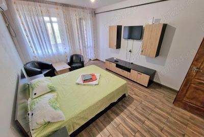 Inchiriere apartament zona ULTIMUL LEU - 3