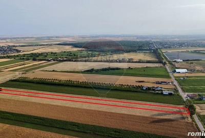 Teren de 7830 mp, în Vânători - 3