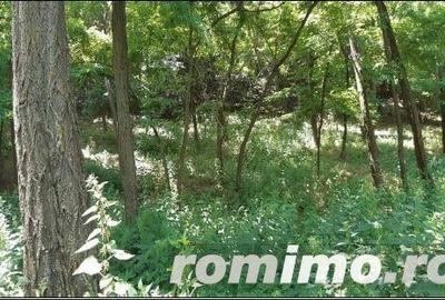 Teren Didesti, ID: R2058941 - 3