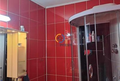 De vanzare teren + vila +anexa zona targului saptamanal, pretabila azil, gradini - 10