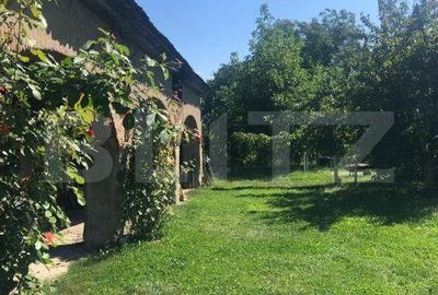 Casă cu 3 camere cu Teren 800 Mp în Unirea - 3