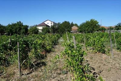 Teren stradal cu casa veche in Podari - toate utilitatile - 7