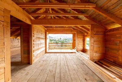 Duplex spatios - oportunitate pentru dezvoltatori sau doua familii - 5