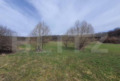 Teren de 10000 mp, în Centura - 1