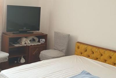 Apartament cu 2 camere semidecomandat în Teilor - 6