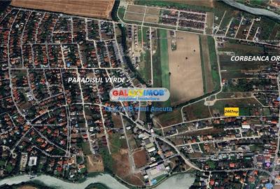 Teren Construcții intravilan de 2447 mp, în Corbeanca - 5