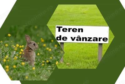 Teren de 18000 mp, în Viile Noi