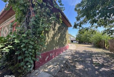 Casă cu 3 camere cu Teren 6060 Mp în Gepiu - 7