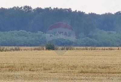 Teren de 3730 mp, în Buftea