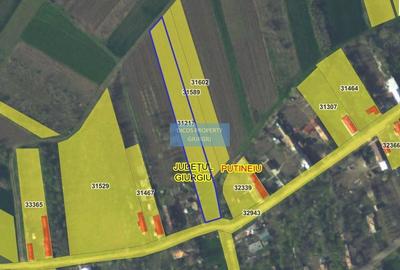 Teren intravilan 2.500 mp - Vieru, Giurgiu - 2