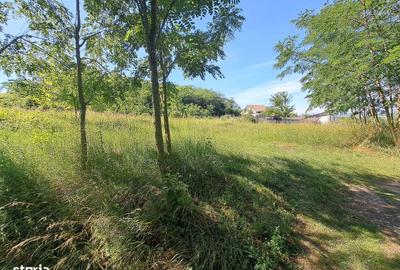 Spațiu comercial, în Drâmbar - 5