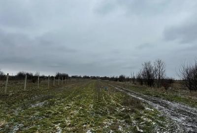 Teren în Coșoveni - 2