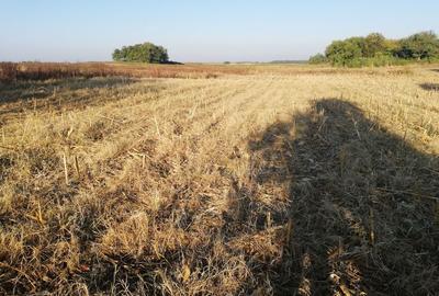 Spațiu comercial, în Marotinu de Sus - 4