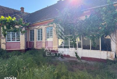 Casă cu 4 camere cu Teren 1522 Mp în Traian Vuia - 6