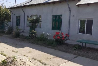 Casă cu Teren 950 Mp în Calomfirești