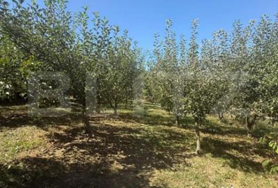 Teren de 2232 mp, în Central - 10