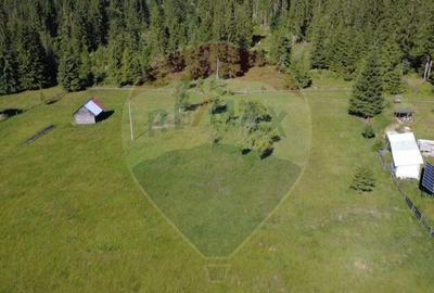 Teren 19,370mp Neagra Sarului / Strada ?estina - 4