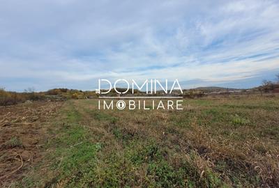 Teren Construcții intravilan de 4967 mp, în Bălești - 2