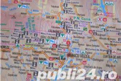 Casă cu 6 camere cu Teren 6000 Mp în Pietreni - 7