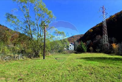 Teren intravilan cu vedere spectaculoasa spre Crucea Car... - 3