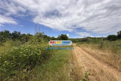 Teren 60000 mp, in Plopu, la 10 km de Ploiesti - 10