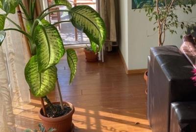 Apartament cu 3 camere,terasa,parcare,etaj interemdiar, zona Sub cetate - 2